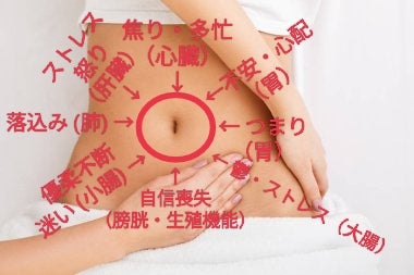 タイ・カルサイネイザン手技八門のアプローチ内臓図