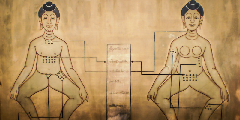 thai traditional medical anatomical diagram
