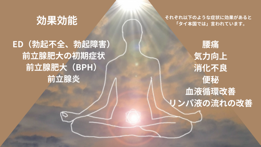 カルサイネイザン案内図