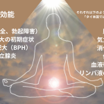 カルサイネイザン案内図